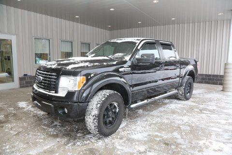 loaded 2014 Ford F 150 crew cab for sale