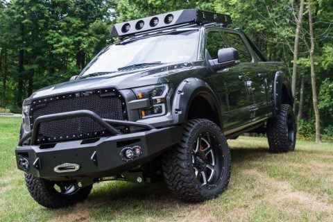 well modified 2016 Ford F 150 Super Crew Cab crew cab for sale